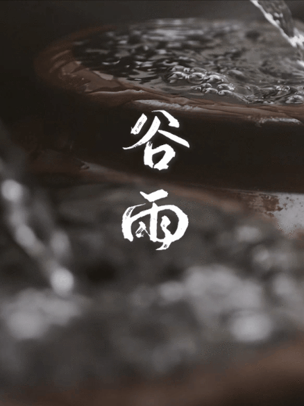谷雨封藏.gif