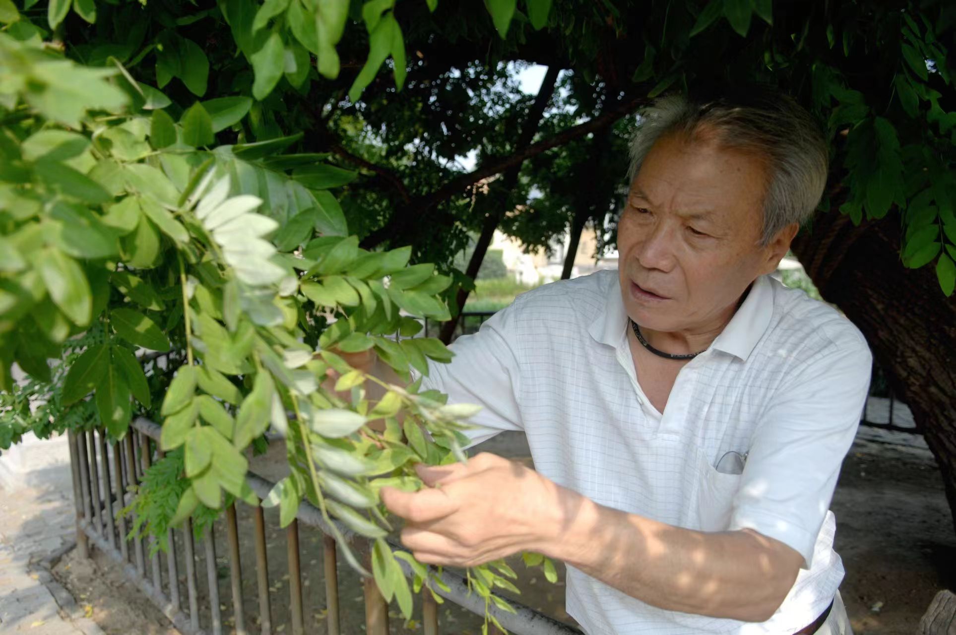 江苏唯一！这位86岁的“树爷爷”当选“2024年十佳生态环境志愿者”