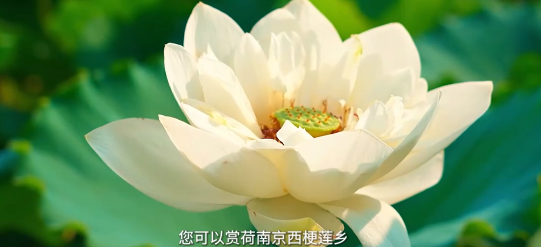f93aec15110ba30b7397123fa324c394.png