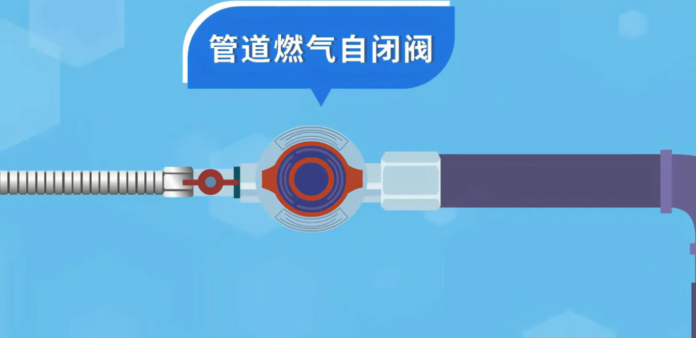 {9BA4877E-55BA-4922-A406-8149116BA647}.png