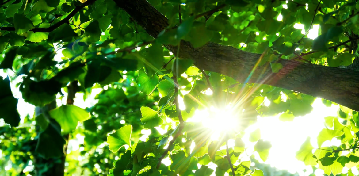 {75D6FAB0-BC01-44ac-B8FD-2066CCEDBD21}.png