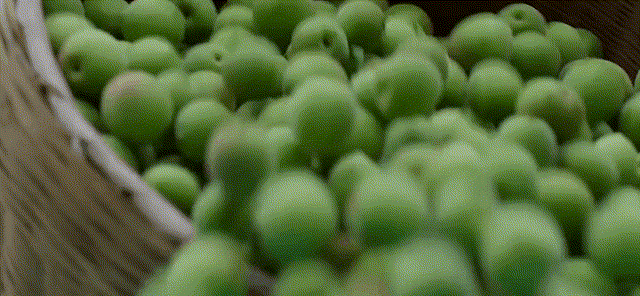 成熟青梅~1.gif