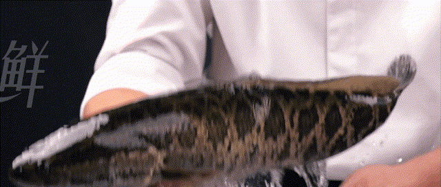 做鱼方法~1.gif