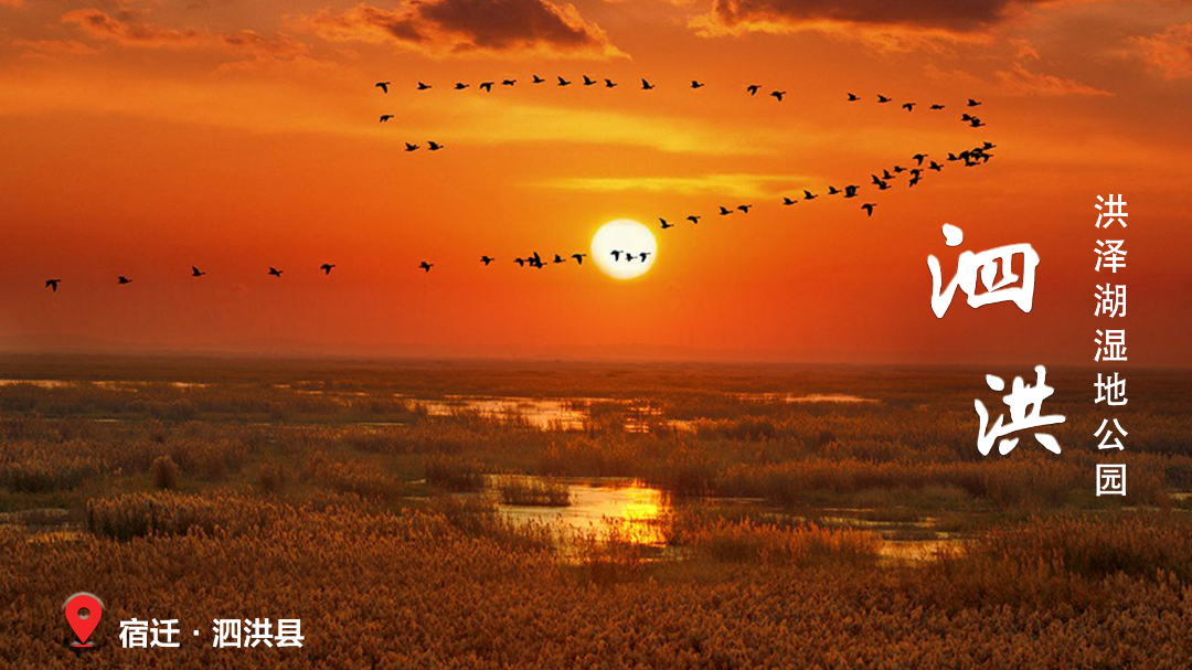 新15 泗洪洪泽湖湿地公园.png