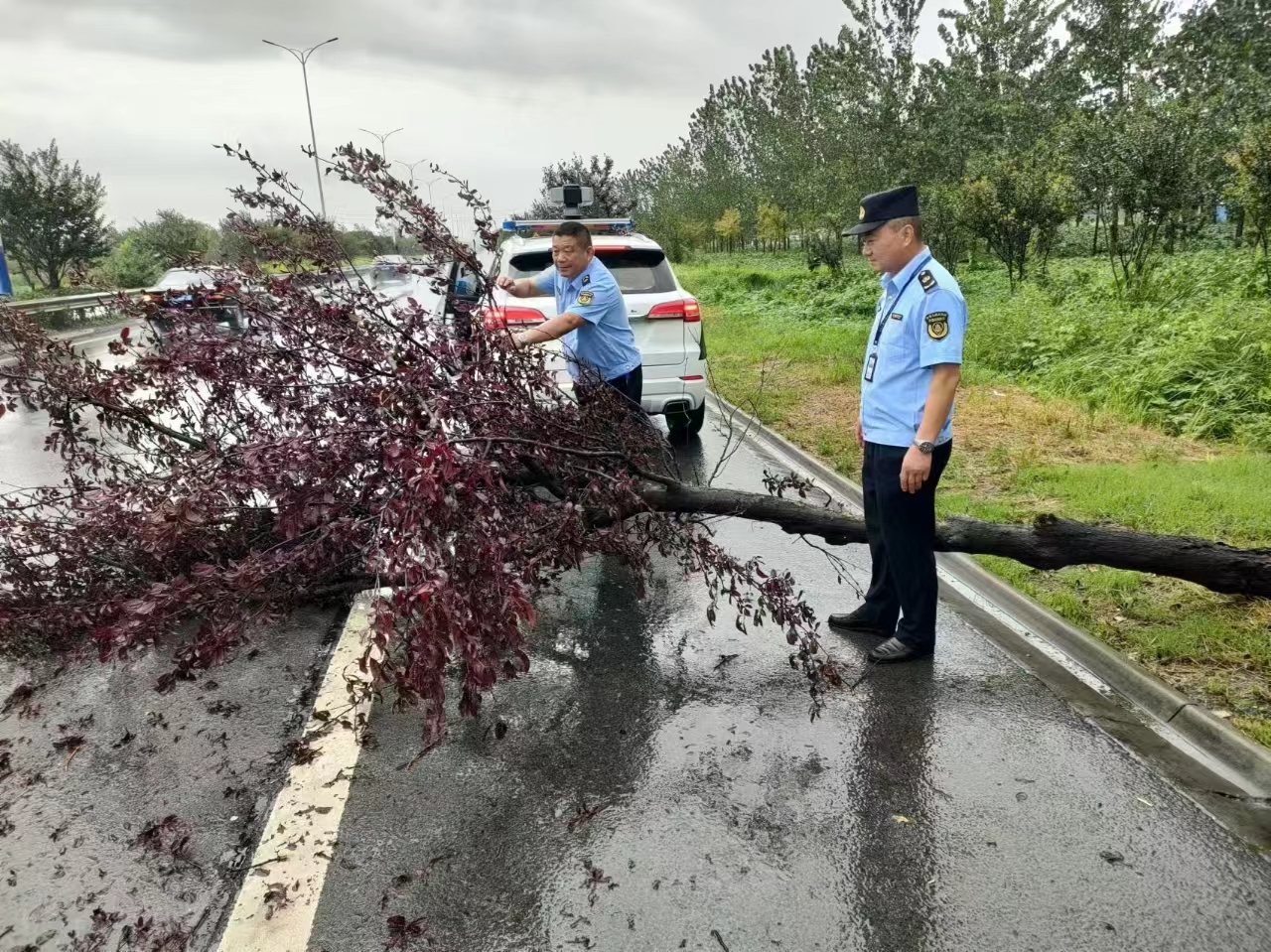泗洪交通执法人员战风斗雨保畅通