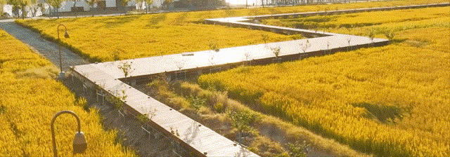非遗~1.gif