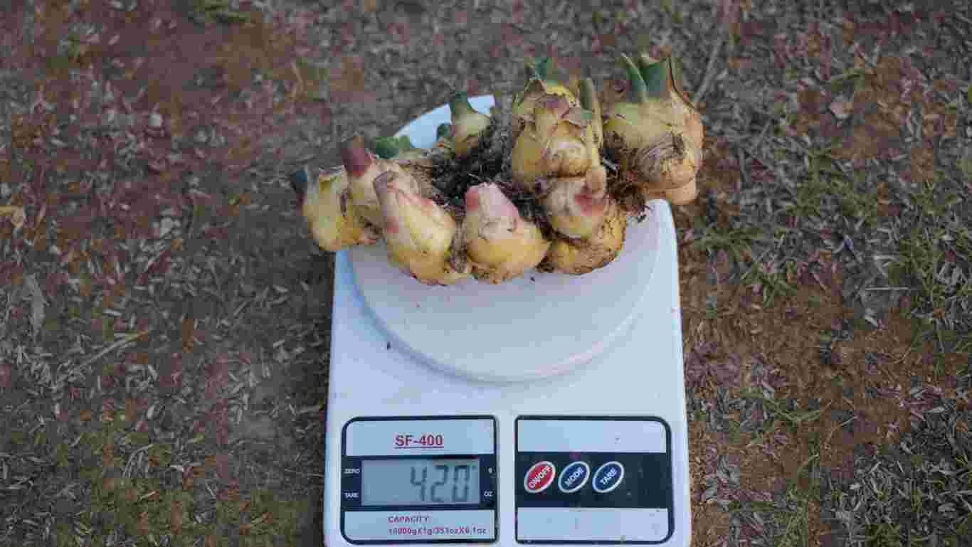微信图片_5555.jpg