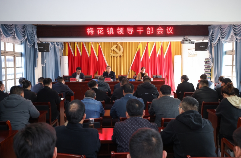 杨云峰出席梅花镇领导干部会议 宣布相关同志职务调整的决定.jpg