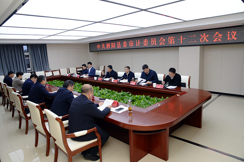 县委审计委员会召开第十二次会议.jpg