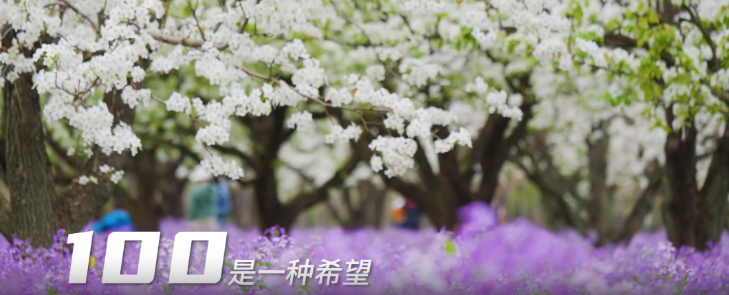 {F67FC60D-3619-48cc-AC6C-35DD88C2B175}.png