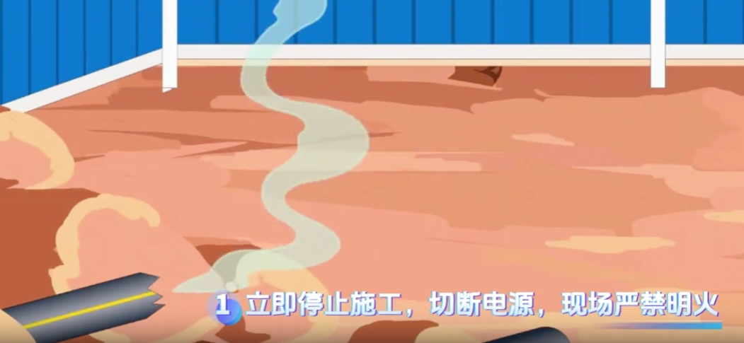 {F31CBFB5-F856-4a11-AD0A-069F47B0C45B}.png