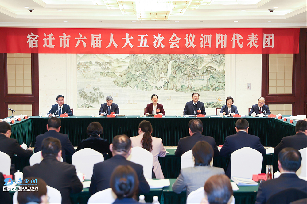 盛蕾参加泗阳代表团审议.jpg