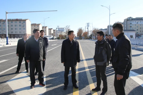 殷其国调研中心城市建设重点工程推进情况.png