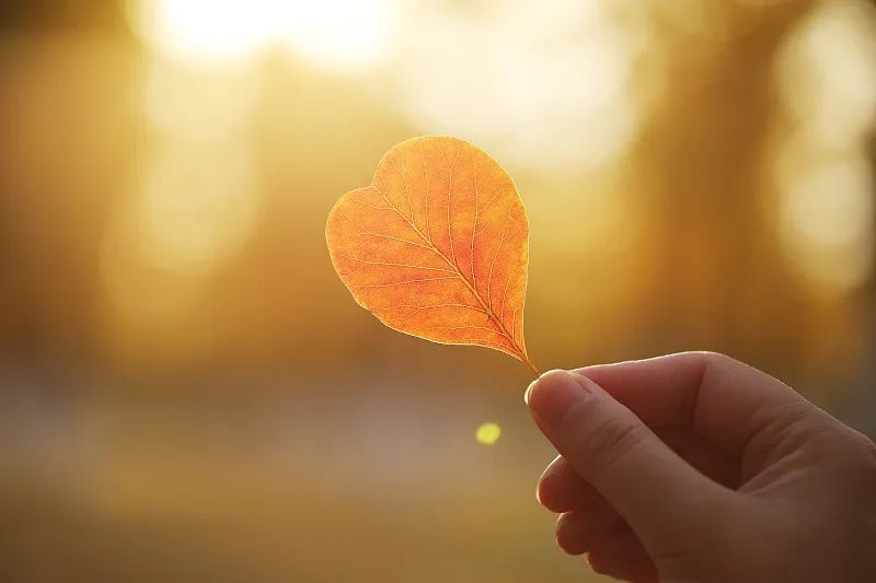 【夜读】新的一年，旺自己的4个秘诀