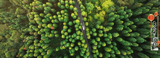 洪泽湖1~1.gif