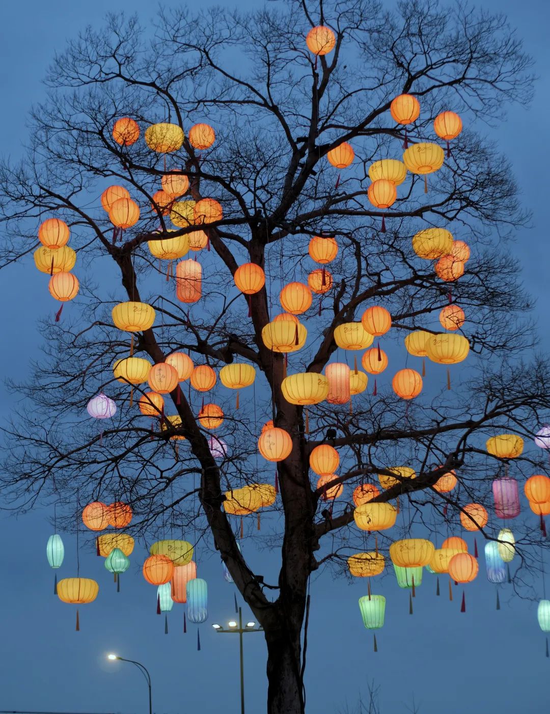 【夜读】“春节快乐”，可以用这些诗句代替