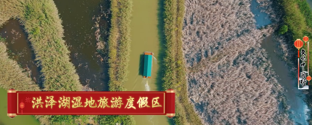 洪泽湖湿地2.png