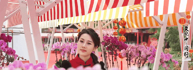 花木1~1.gif