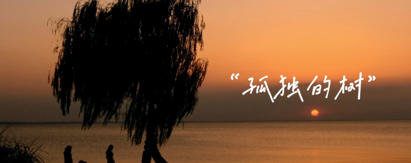 {EA642B04-DB34-42c7-88F3-A9DB7FEEB472}.png