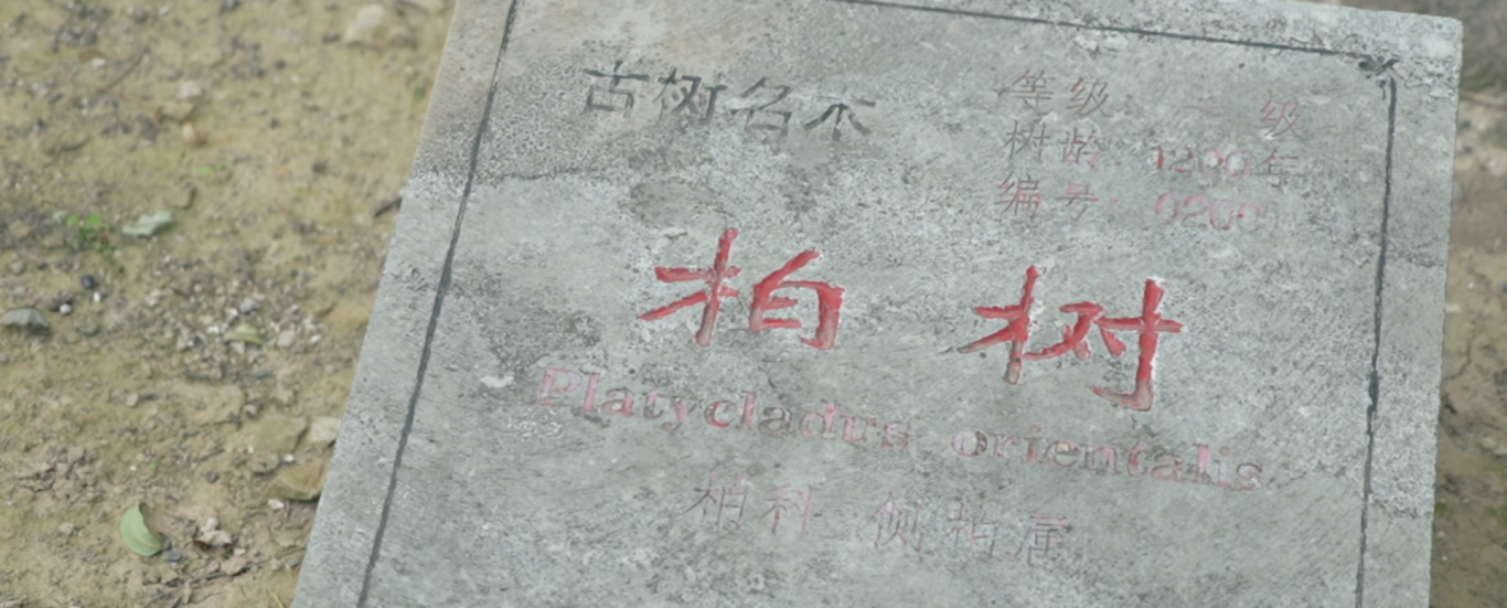 {F87935E7-181B-46c7-A506-223633E2DD98}.png