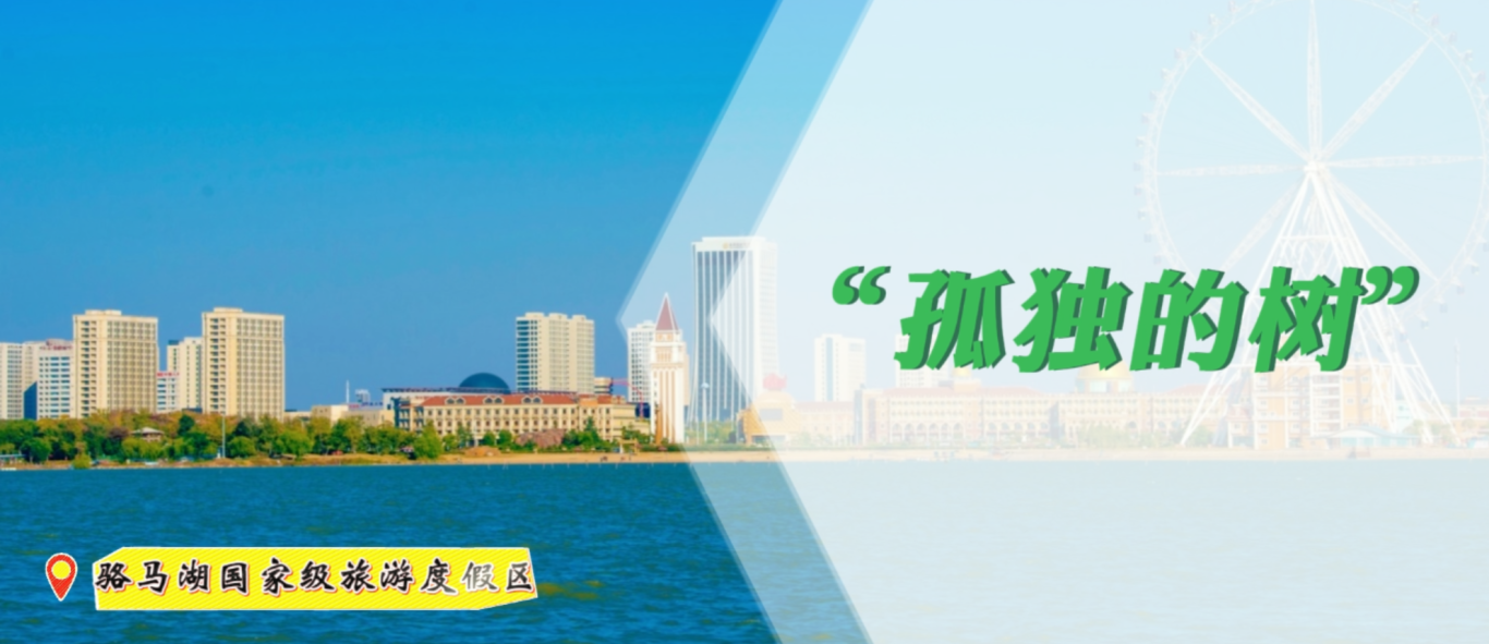 {4E920B53-056C-4f56-8F0C-7D98B52F7228}.png