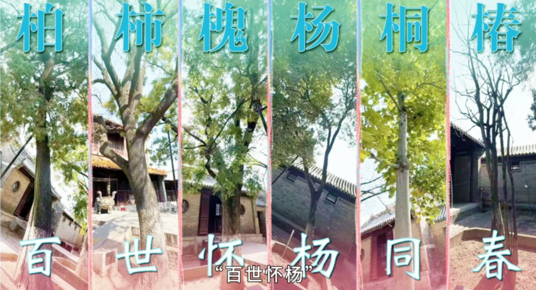 {CBE7877A-7292-4b89-9F72-7F9EC486B9F3}.png