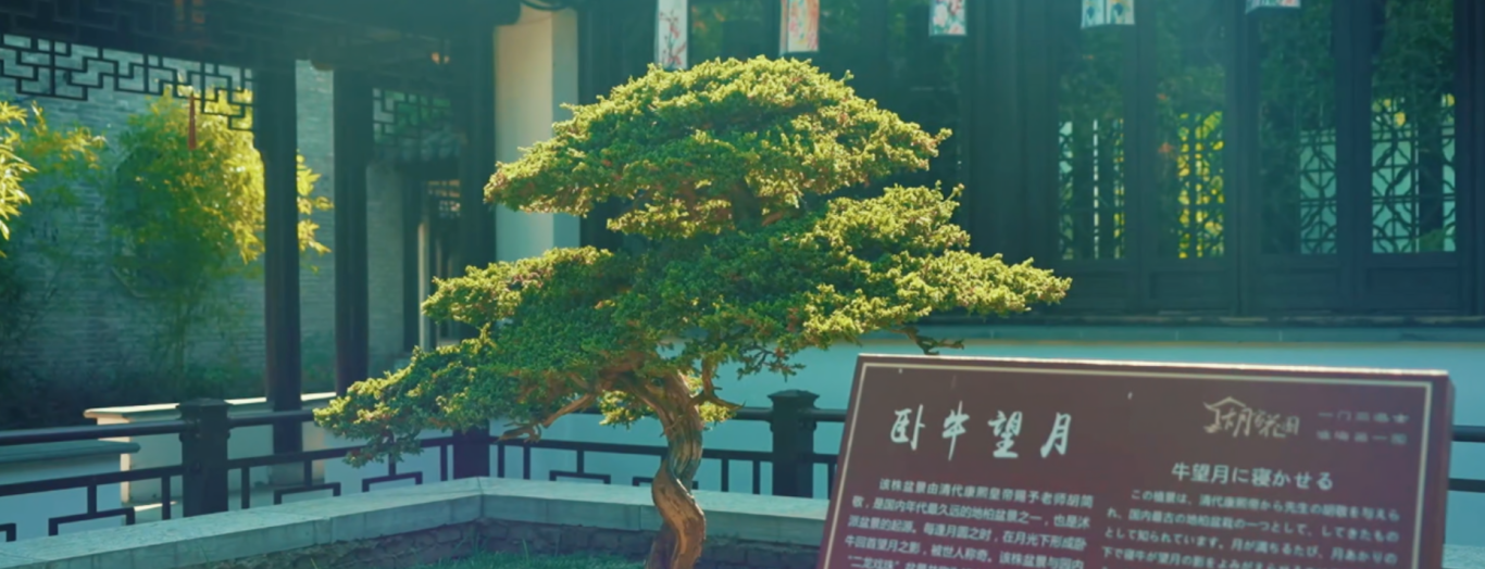 {19540555-6EEC-4719-B4EF-012186ECE669}.png