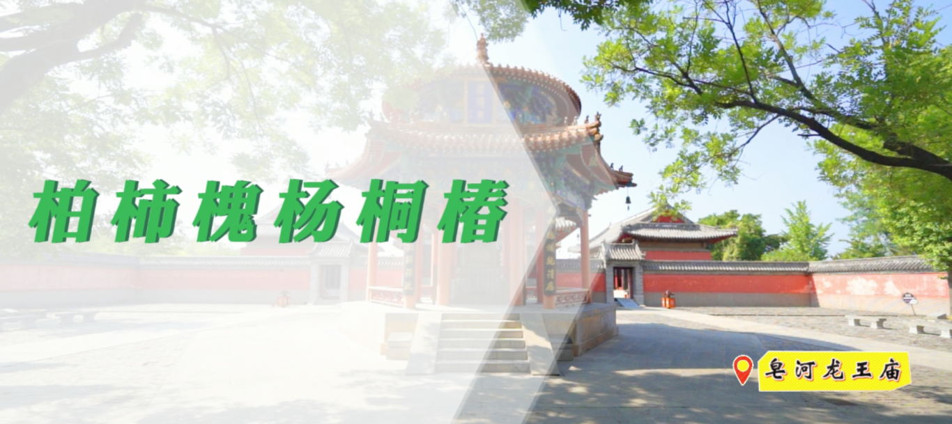 {C8E4FF4A-F79B-483c-B512-817D624A4A37}.png