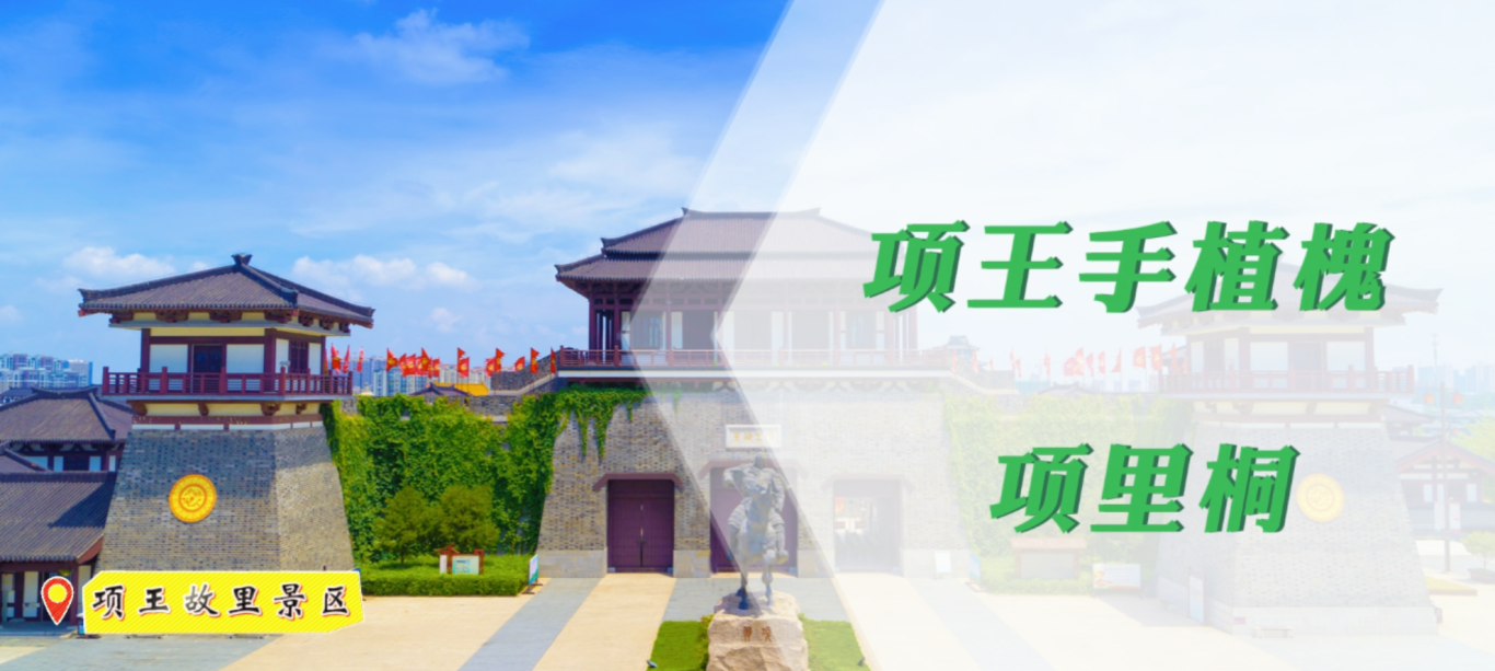 {D45D749D-BD11-4dad-A14F-4435E2327DE2}.png