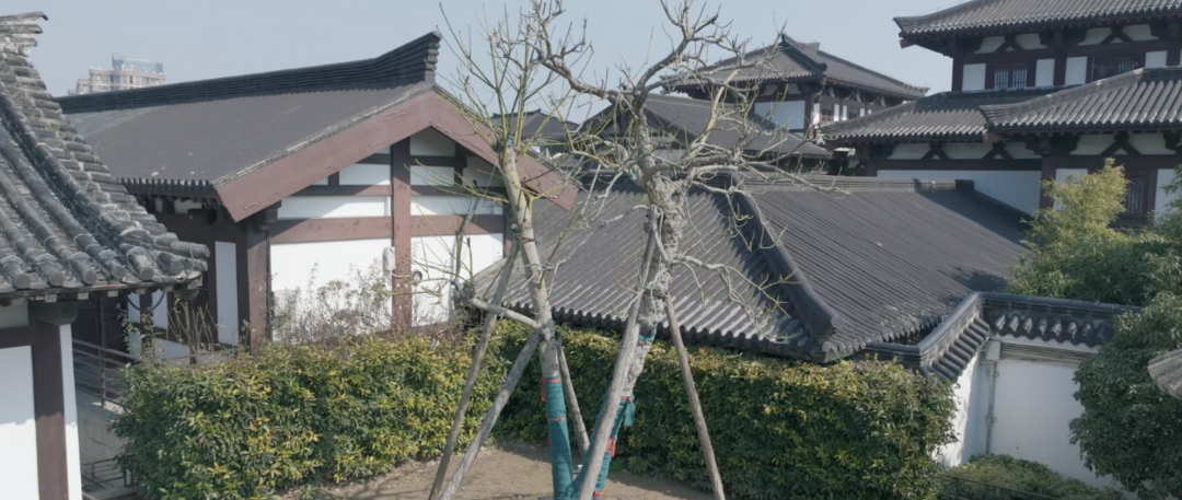 {50B6EDE6-B938-4ed8-8699-30F5F5D4D156}.png