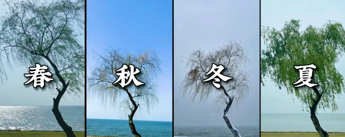{327E65BE-D5D1-4b2a-869E-D6937A618601}.png