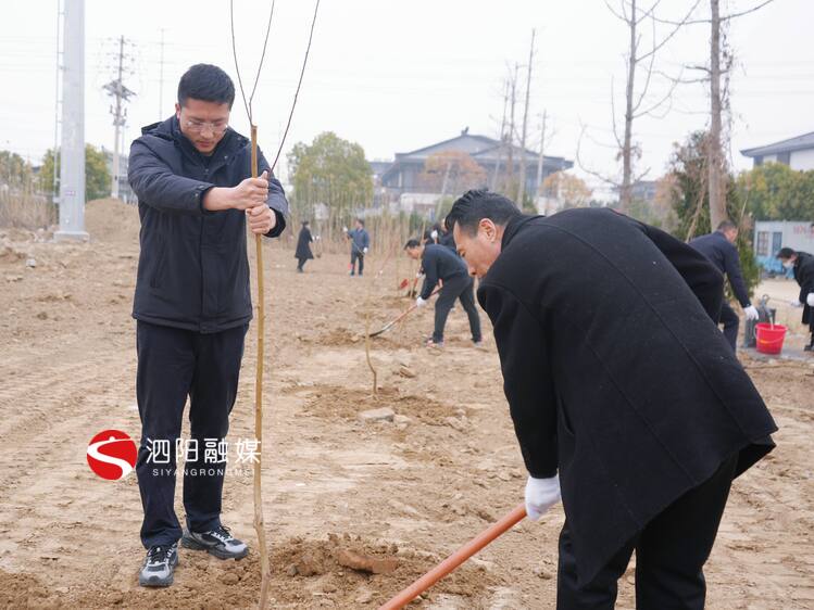 泗阳：植树造林 共建生态美家园