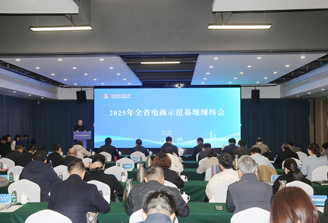 全省电子商务示范基地现场会在我区召开.jpg