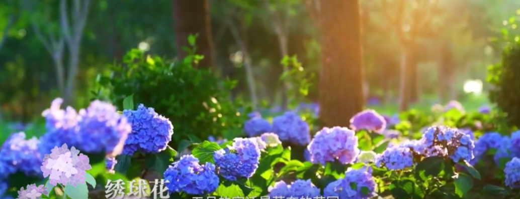 {708335EE-A163-408c-87F1-9B6326AA3343}.png
