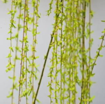 {1408C6AE-5BE5-43fc-8CC1-26277C5E17BC}.png
