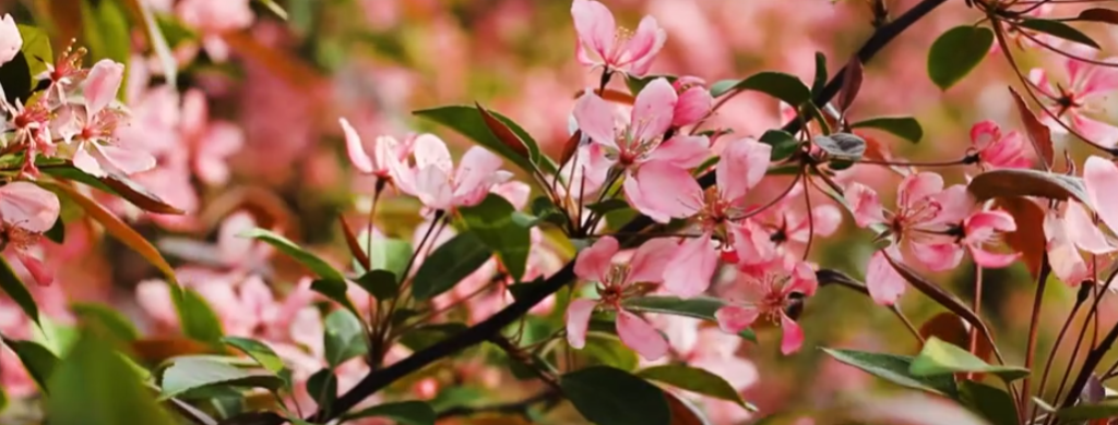 {105C1B8F-E2DA-4956-97CD-1E3AC630BAA6}.png