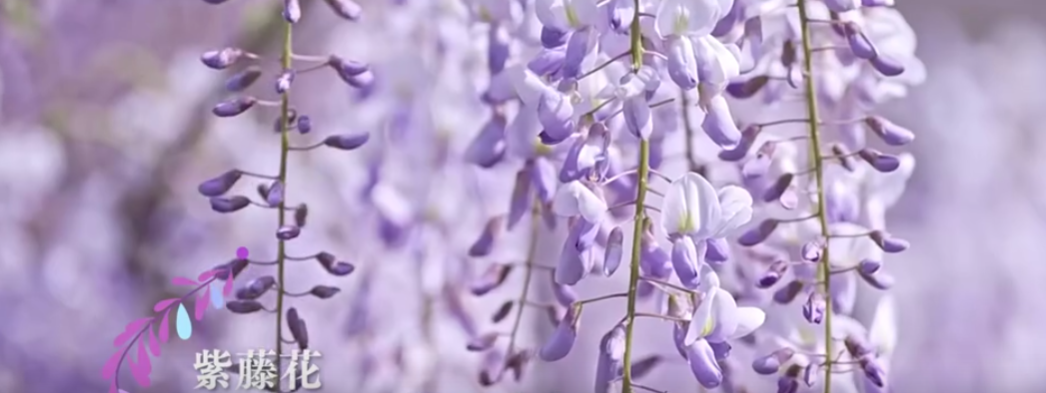 {1D2335E3-5C6D-4a44-9AA2-9B4DD21D474B}.png