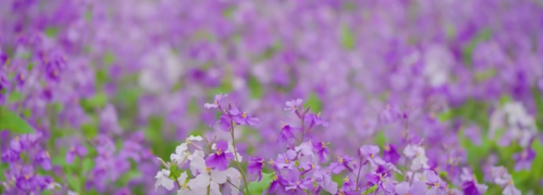 {0862DDE7-C07F-4978-A09B-55EBE996A02C}.png