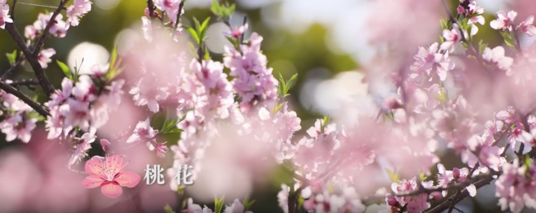 {50252504-55EA-43e7-9D0A-003F05552796}.png