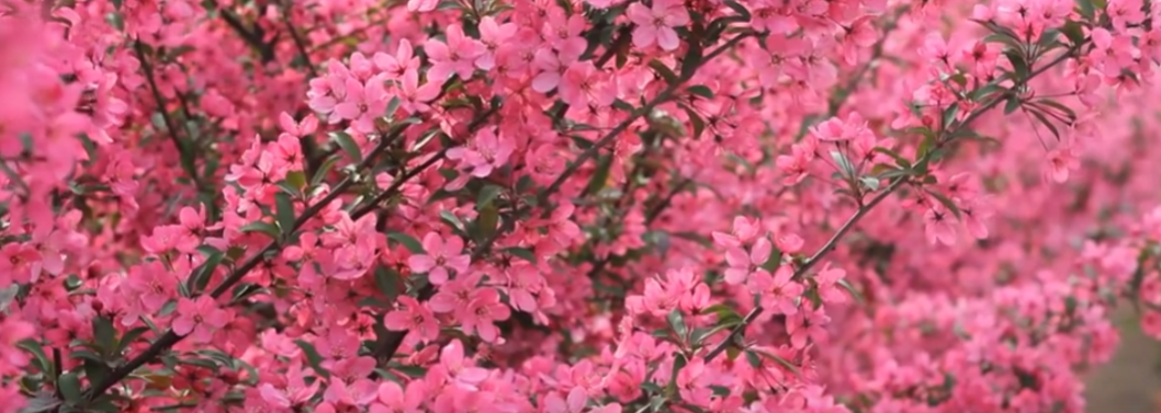 {C4C8E818-406E-47bd-8168-A554F8C94EFB}.png