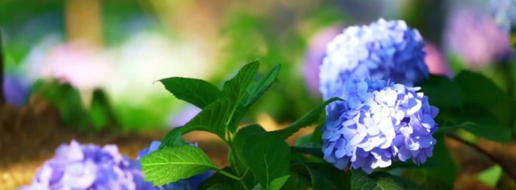 {7857AC98-5F5E-4cfc-B82C-E49B349F71E3}.png