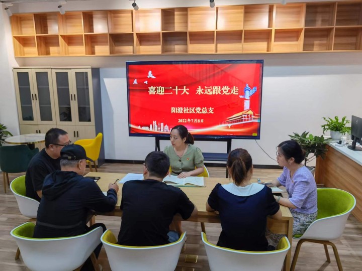强国复兴有我丨苏宿工业园区社工委党委开展支部书记讲党课活动