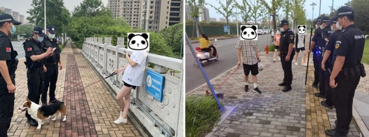【园区文明典范城市在行动】⑩：文明养犬 请别掉“链”