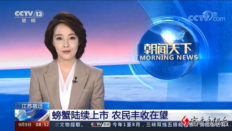 【央省媒体持续关注】宿迁：“霸王蟹”开捕 农民丰收在望
