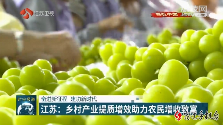 【新时空关注】宿迁：乡村产业提质增效助力农民增收致富