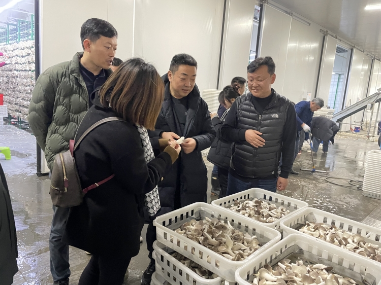 南京工业大学在城厢街道开展和美乡村建设规划实地调研