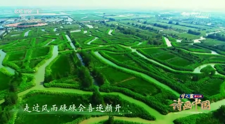 每一帧都是山水画！央视《诗画中国》走进“醉美宿迁”