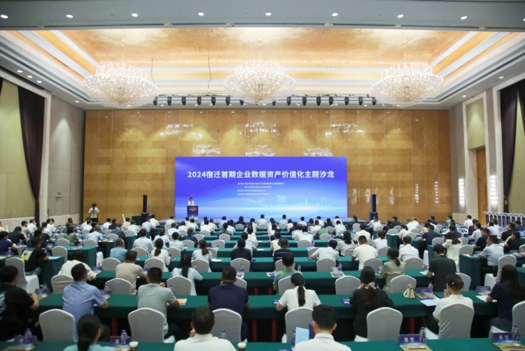 挖掘数据资本 释放企业潜能——宿迁首期企业数据资产价值化主题沙龙成功举办