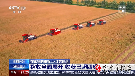 【央视关注】宿迁：秋收全面展开 收获已超四成