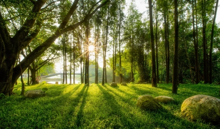 【早读】所有烦恼，都有解药